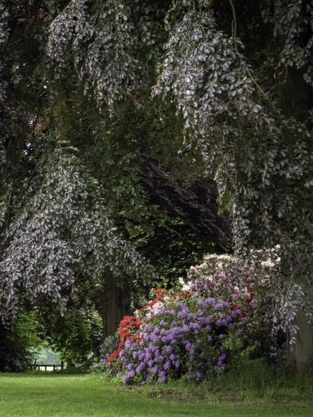 Stanley Hall Gardens